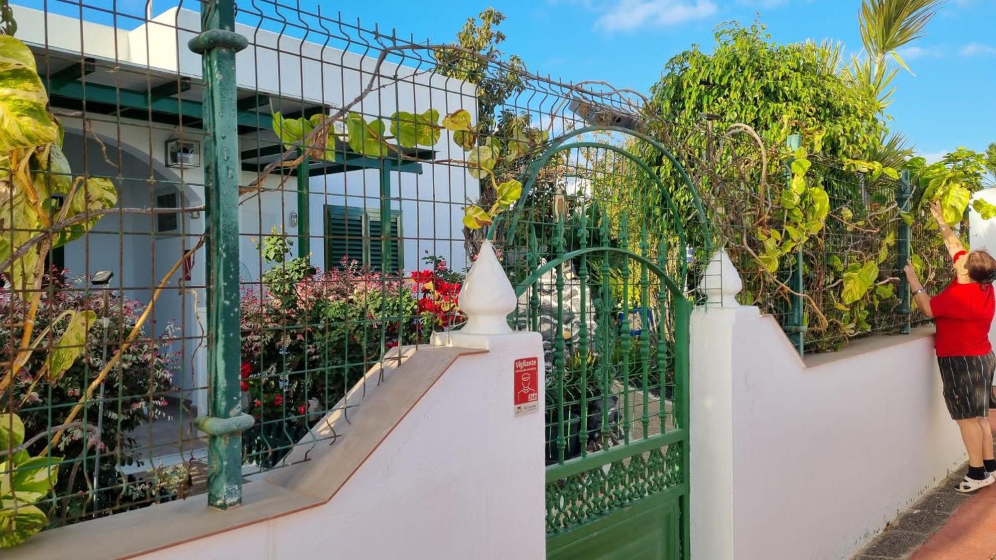 Apartamento Bungalows Isabel Maria プラヤ・ブランカ エクステリア 写真